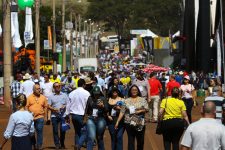 ‘agrishow-pra-elas’-debate-agronegocio-e-participacao-de-mulheres-no-setor-durante-feira-em-ribeirao-preto,-sp