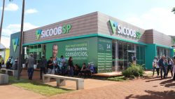 negocios-recorde-das-14-cooperativas-do-sicoob-sao-paulo:-r$-1,8-bi-na-agrishow