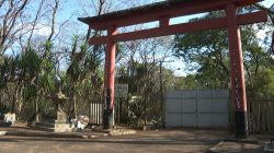 populacao-reclama-de-abandono-do-bosque-fabio-barreto-em-ribeirao-preto,-sp