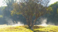 frente-fria-provoca-chuva-e-queda-de-temperaturas-na-regiao-de-ribeirao-preto-e-franca