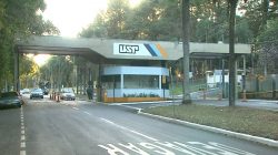 usp-abre-concurso-publico-para-analista-administrativo-com-salario-de-r$-10,2-mil-em-ribeirao-preto,-sp