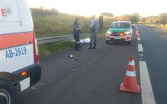 homem-morre-atropelado-em-rodovia-de-franca,-sp