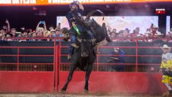 festa-do-peao-de-barretos-celebra-30-anos-do-rodeio-internacional