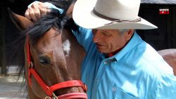 monty-roberts-apresentara-tecnicas-de-doma-gentil-na-festa-do-peao-de-barretos