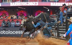 video-mostra-tombos-de-peoes-derrotados-por-touros-na-arena-da-festa-de-barretos